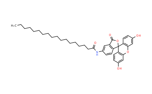 N-(3',6'-Dihydroxy-3-oxo-3H-spiro[isobenzofuran-1,9'-xanthen]-5-yl)stearamide