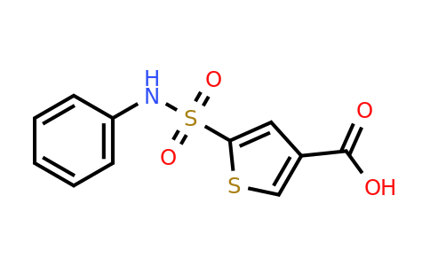 1036507-07-9 | 5-(n-Phenylsulfamoyl)thiophene-3-carboxylic acid