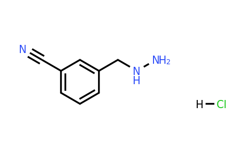 1375474-54-6 | 3-(Hydrazinylmethyl)benzonitrile hydrochloride