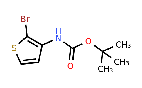 21483-64-7 | tert-Butyl (2-bromothiophen-3-yl)carbamate