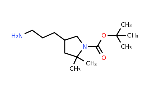 2374126-98-2 | tert-butyl 4-(3-aminopropyl)-2,2-dimethyl-pyrrolidine-1-carboxylate