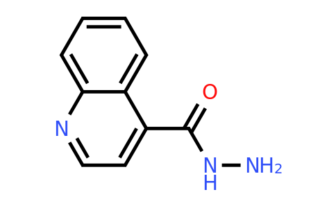 29620-62-0 | Quinoline-4-carbohydrazide