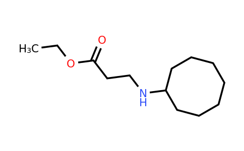 31540-38-2 | Ethyl 3-(cyclooctylamino)propanoate