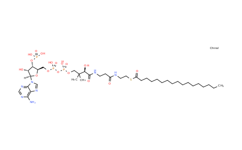 n-Heptadecanoyl coenzyme A lithium salt