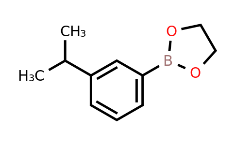 374537-96-9 | 3-Isopropylphenylboronic acid ethylene glycol ester