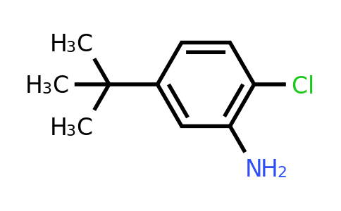 918445-56-4 | 5-(Tert-butyl)-2-chloroaniline